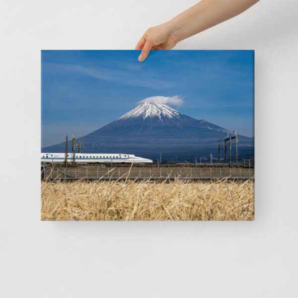 Tokaido Fujisan on Canvas | Shinkansen and Mt. Fuji - Fuji, Japan