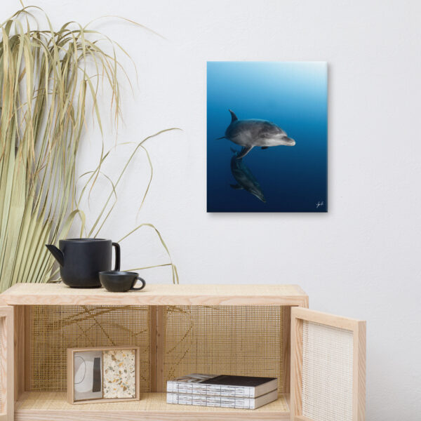 Bottles on Canvas | Bottlenose Dolphins – Socorro Islands, Mexico