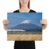 Tokaido Fujisan on Canvas | Shinkansen and Mt. Fuji - Fuji, Japan