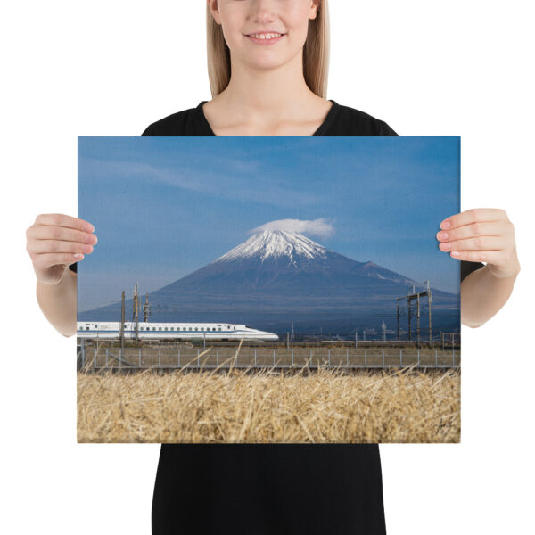 Tokaido Fujisan on Canvas | Shinkansen and Mt. Fuji - Fuji, Japan
